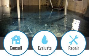 Drainage Problems in Tampa, FL