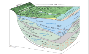 Florida Water Table